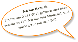 Ich bin Hannah Ich bin am 03.11.2011 geboren und habe schwarzes Fell. Ich bin sehr kinderlieb und spiele gerne mit dem Ball.